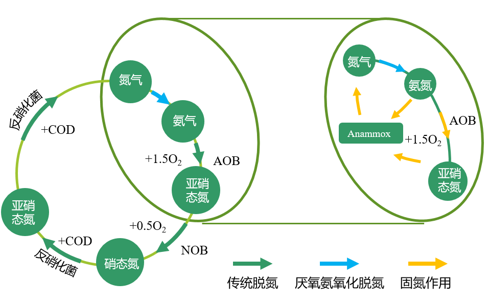 厌氧氨氧化工艺